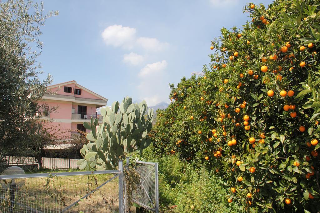 Willa Gli Aranci Dell'Etna Mascali Zewnętrze zdjęcie